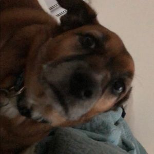 Meet your Posher, Wendy